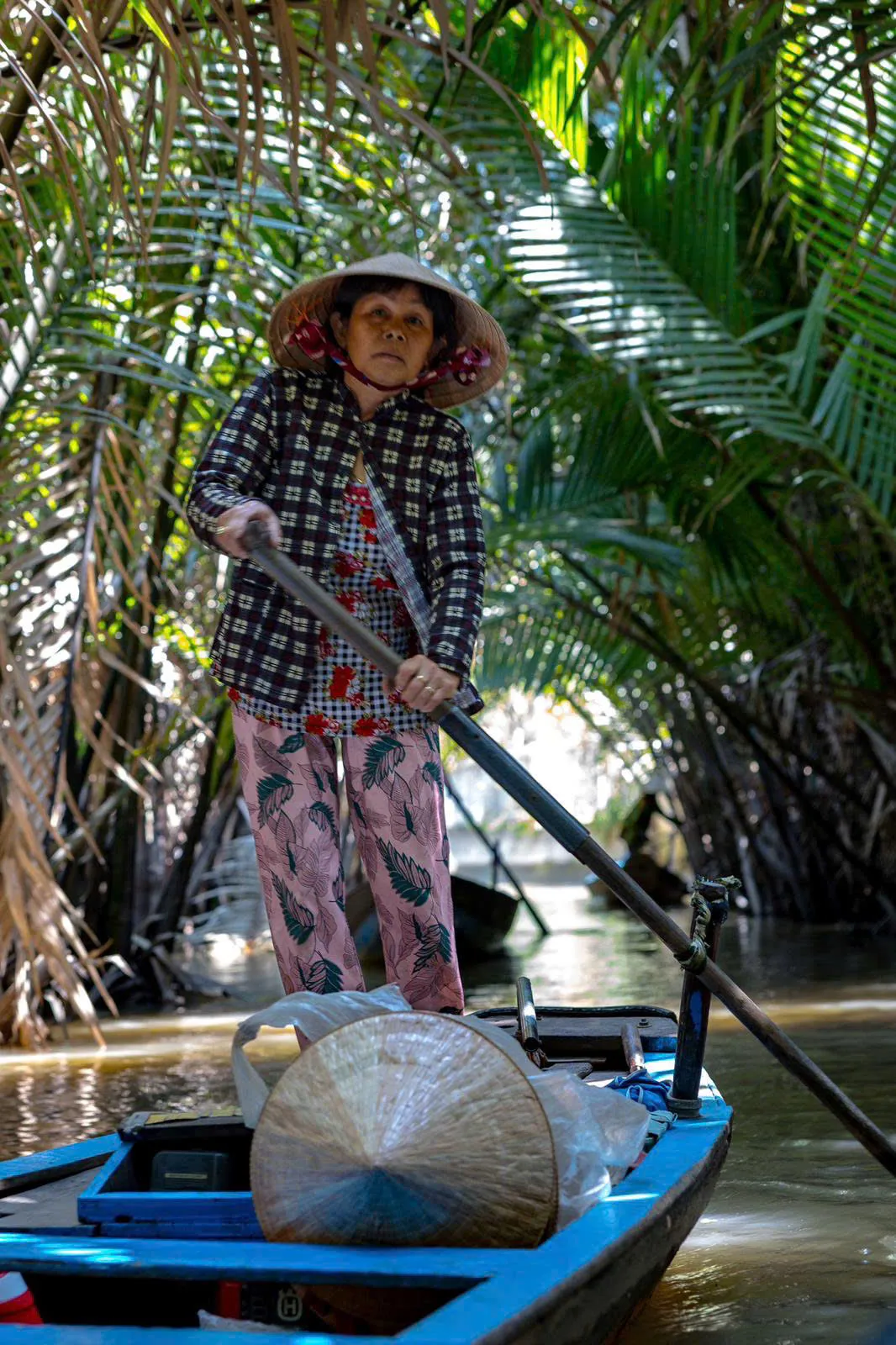 mekong delta tour