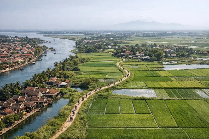 Best Hoi An Countryside Cycling Routes for First-Timers (Tra Que + Rice Paddies Focus)